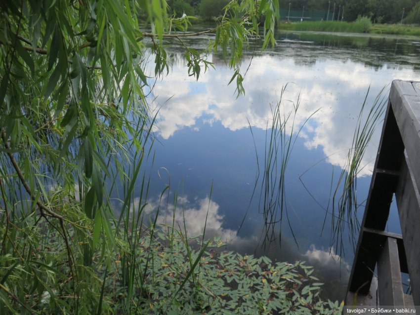 Русалочка SeaSters — Игровые куклы разных производителей (Разное): редкие бренды (фото 3)