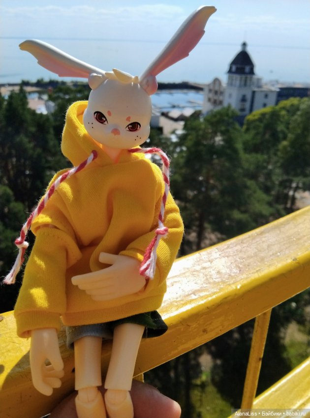 Заячье лето. Зеленогорск — Туризм и путешествия: фотоотчеты из поездок