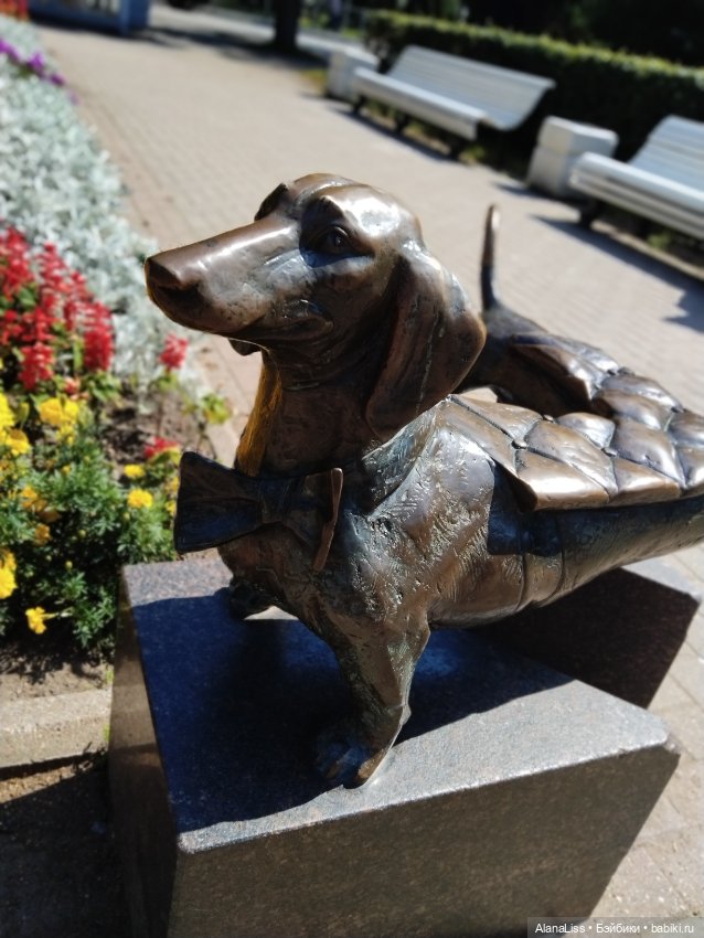 Заячье лето. Зеленогорск — Туризм и путешествия: фотоотчеты из поездок (фото 5)