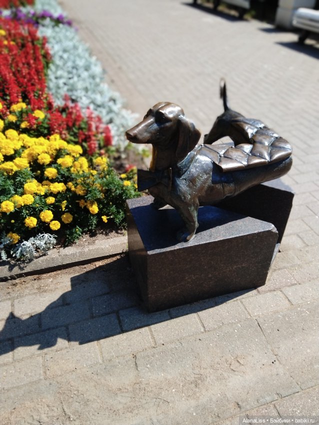 Заячье лето. Зеленогорск — Туризм и путешествия: фотоотчеты из поездок (фото 4)