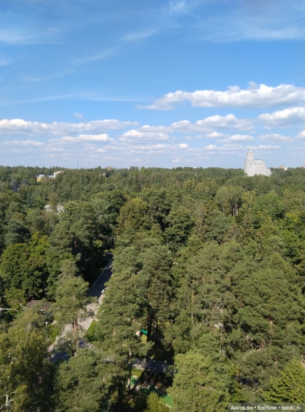 Заячье лето. Зеленогорск — Туризм и путешествия: фотоотчеты из поездок