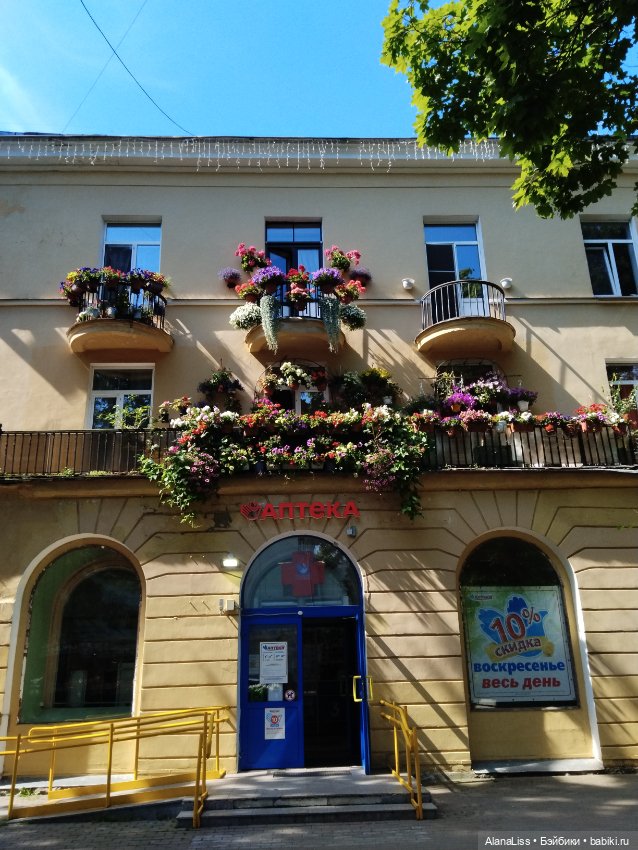 Заячье лето. Зеленогорск — Туризм и путешествия: фотоотчеты из поездок