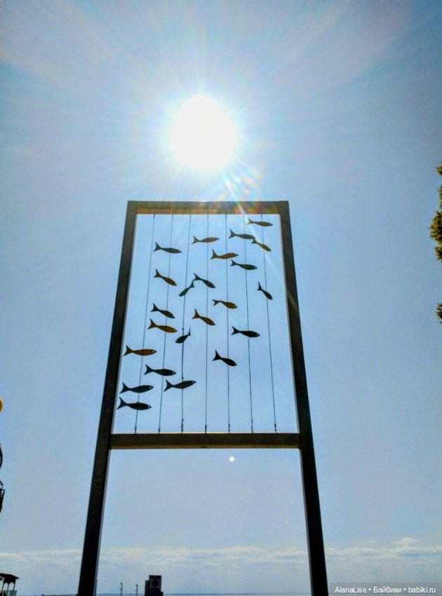 Заячье лето. Зеленогорск — Туризм и путешествия: фотоотчеты из поездок