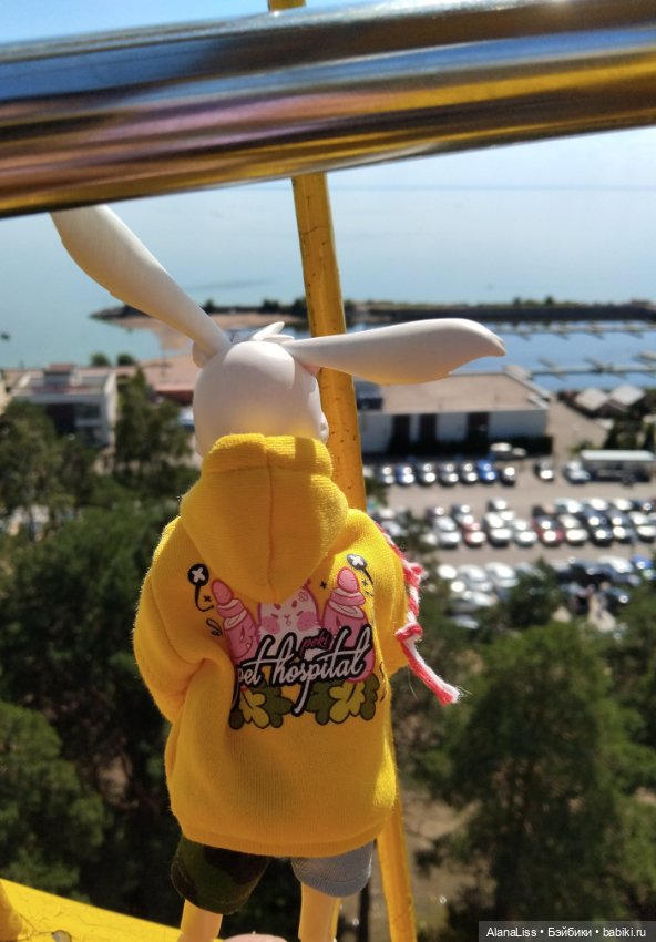 Заячье лето. Зеленогорск — Туризм и путешествия: фотоотчеты из поездок