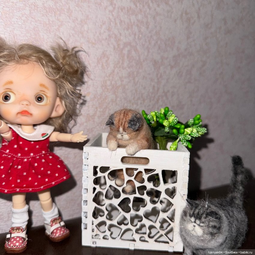 Семейка — Куклы и тела Obitsu (Обитсу): 1/6 (фото 6)