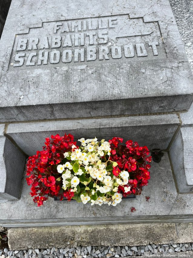 Му ггыкальная История 138