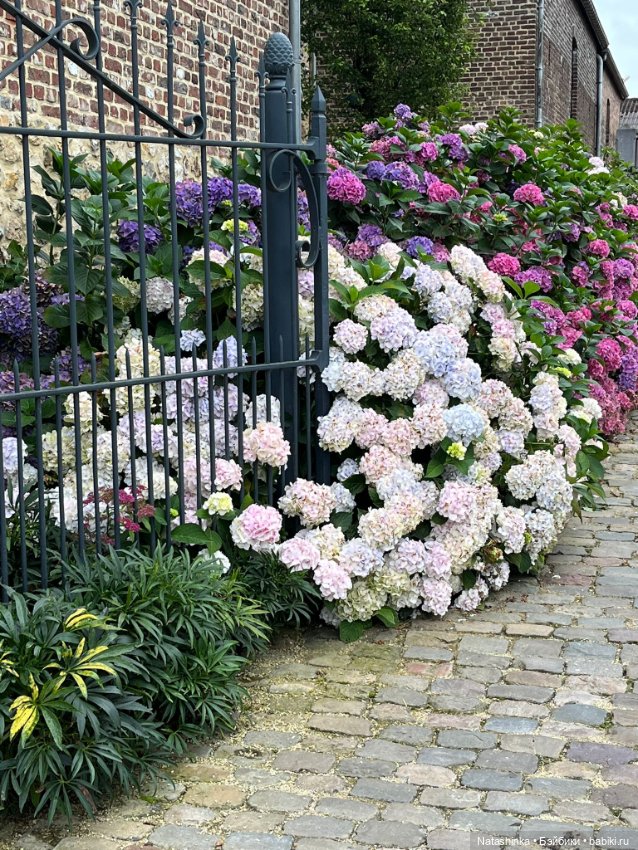 Му ггыкальная История 138