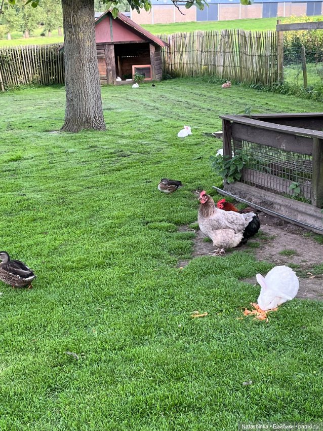 Му ггыкальная История 138