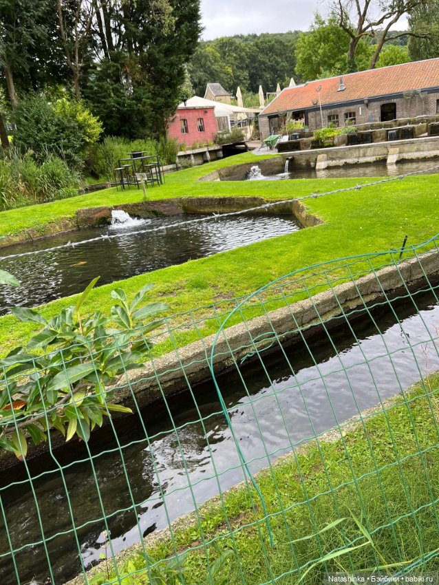 Му ггыкальная История 138