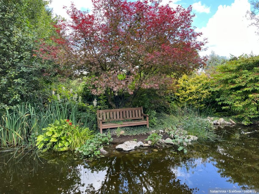 Му ггыкальная История 138 (фото 2)