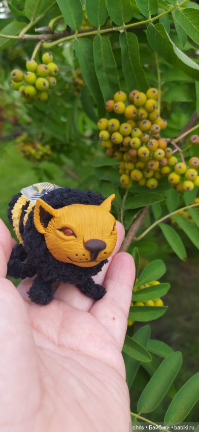 Шмелекот — Домашние фото авторских игрушек: Тедди (фото 3)