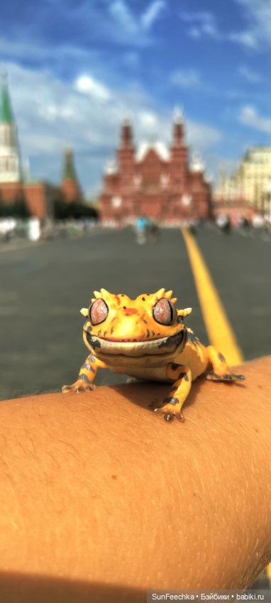 ГУМ, Красная Площадь, Зарядье. Гуляем с Гошей