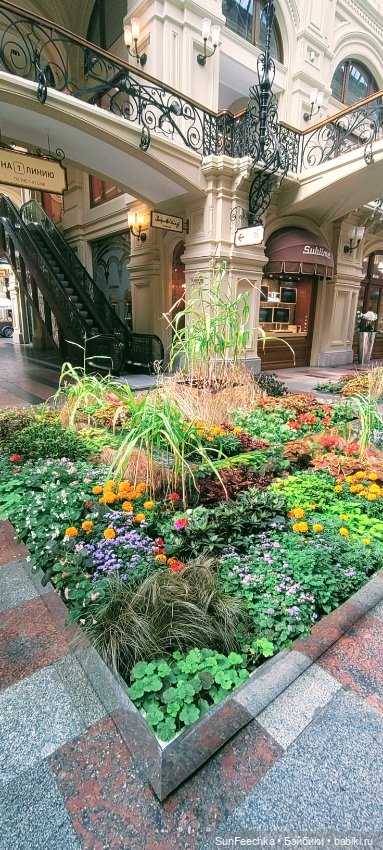 ГУМ, Красная Площадь, Зарядье. Гуляем с Гошей (фото 9)