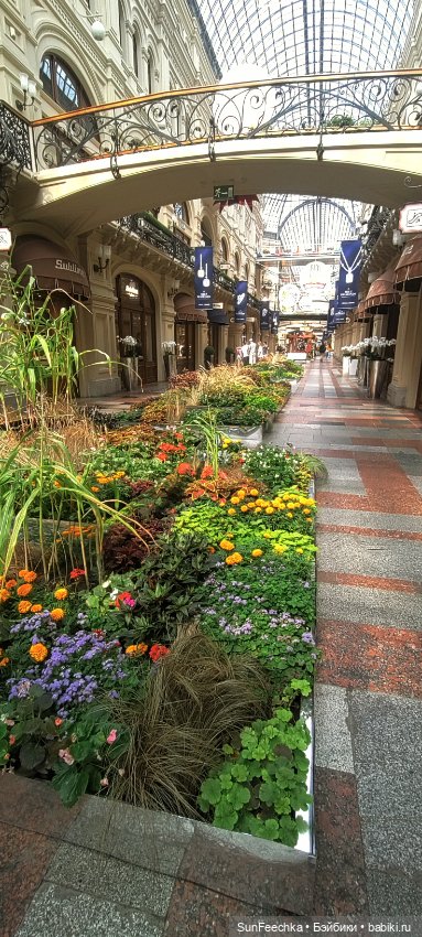 ГУМ, Красная Площадь, Зарядье. Гуляем с Гошей