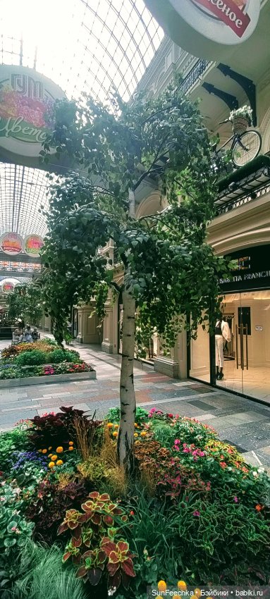 ГУМ, Красная Площадь, Зарядье. Гуляем с Гошей (фото 5)