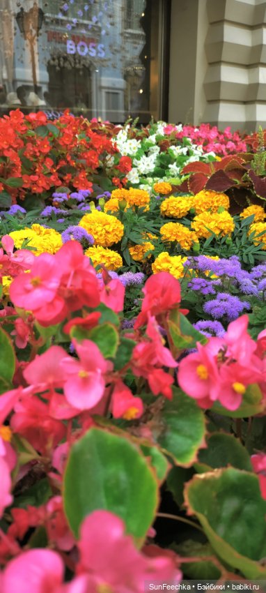 ГУМ, Красная Площадь, Зарядье. Гуляем с Гошей