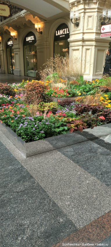 ГУМ, Красная Площадь, Зарядье. Гуляем с Гошей (фото 3)