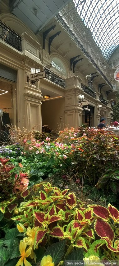 ГУМ, Красная Площадь, Зарядье. Гуляем с Гошей