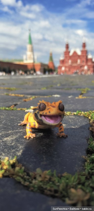 ГУМ, Красная Площадь, Зарядье. Гуляем с Гошей