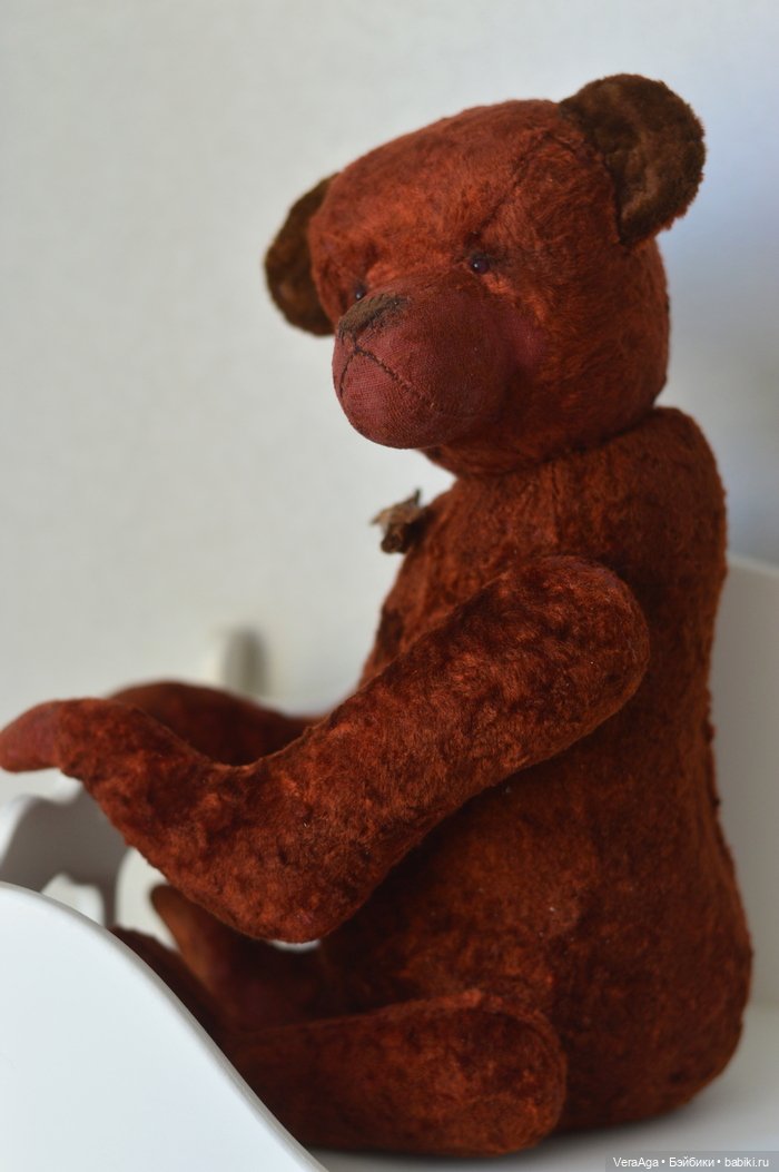 Шоколад, корица и робкая брутальность Трюфеля (фото 7)