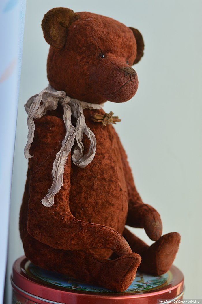 Шоколад, корица и робкая брутальность Трюфеля (фото 8)