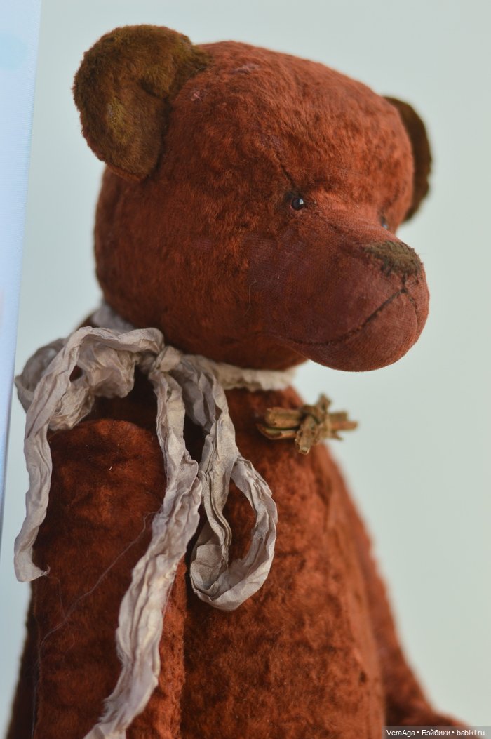 Шоколад, корица и робкая брутальность Трюфеля (фото 9)