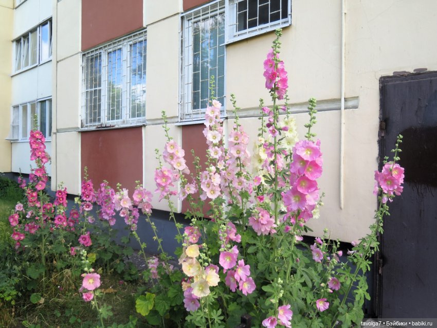 Catrinas Underworld Пинки в Петербурге (фото 10)