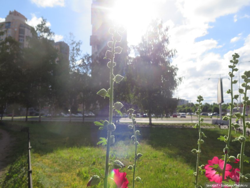 Catrinas Underworld Пинки в Петербурге