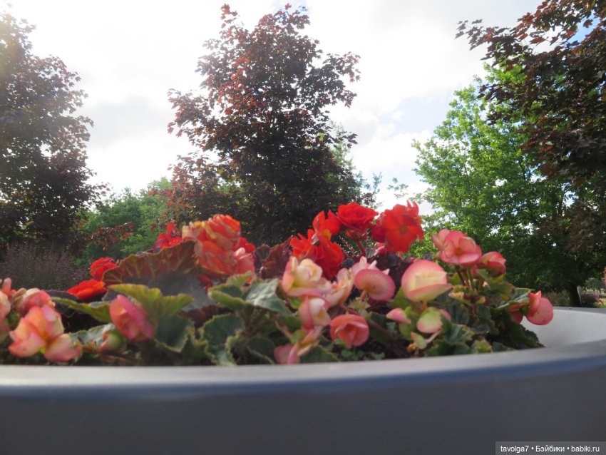 Catrinas Underworld Пинки в Петербурге (фото 2)