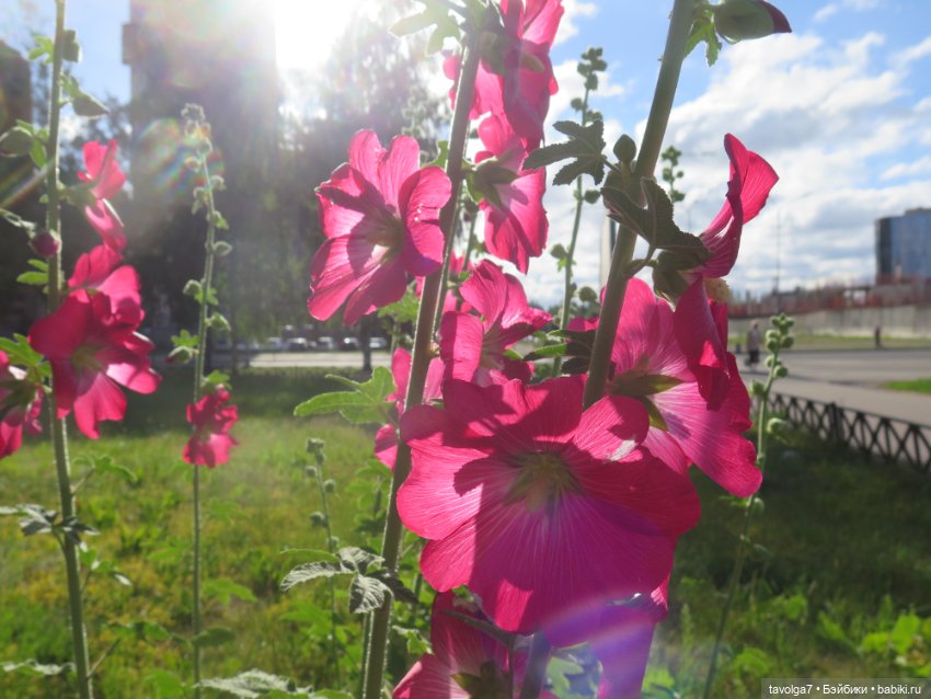 Catrinas Underworld Пинки в Петербурге
