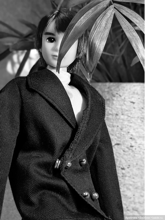 Паренёк из посылки — Куклы Takara Tomy (Такара): Licca (Ликка) (фото 6)