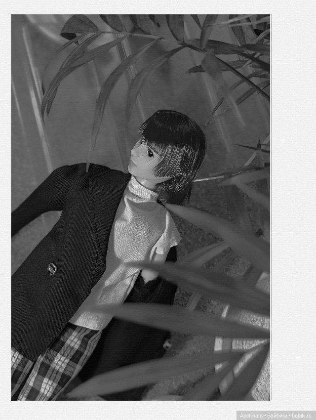 Паренёк из посылки — Куклы Takara Tomy (Такара): Licca (Ликка) (фото 4)