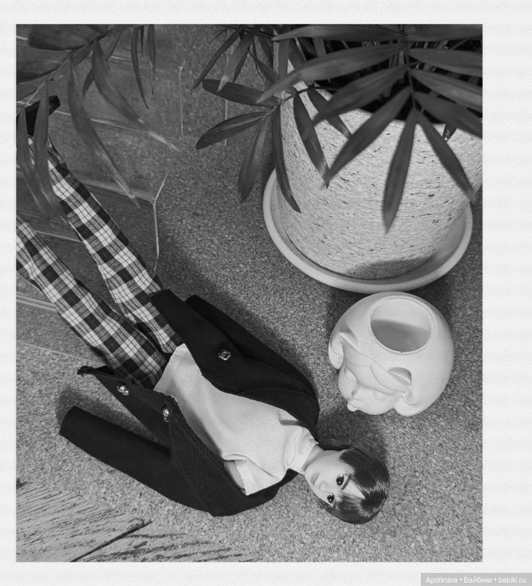 Паренёк из посылки — Куклы Takara Tomy (Такара): Licca (Ликка) (фото 7)