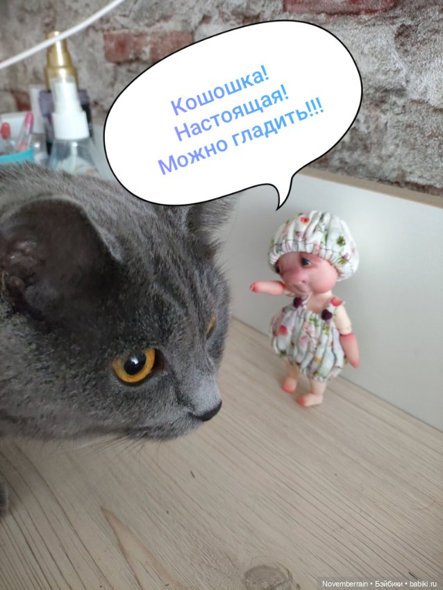 Ребяты, вы щас упадете — Домашние фото авторских кукол: личные коллекции (фото 6)