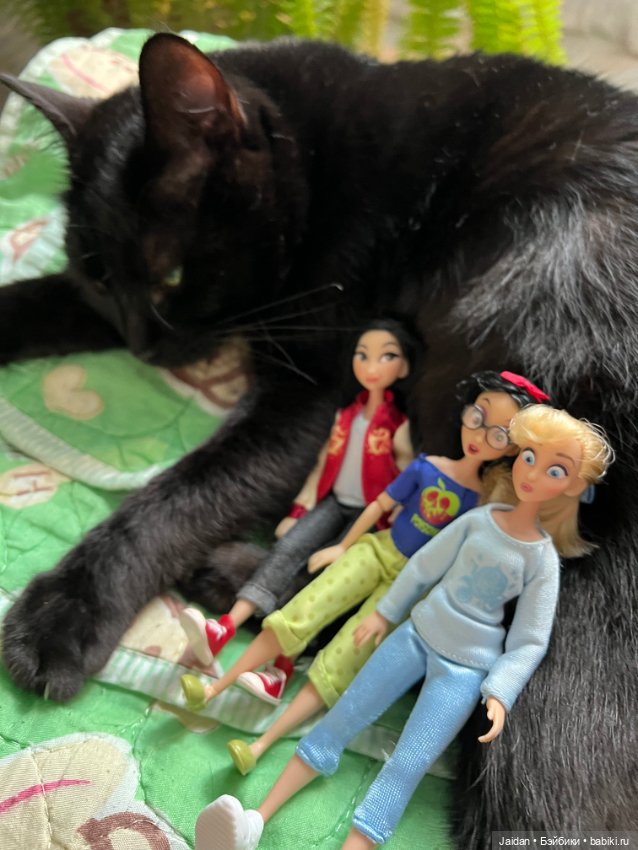 Три удивляшки — Коллекции игровых кукол (Playline): фото полок