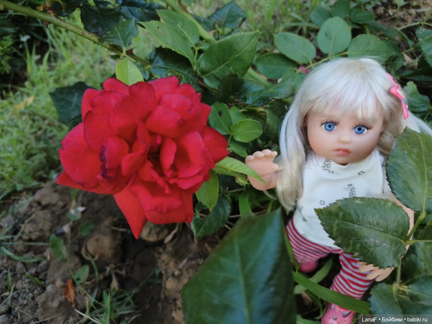 Мила и Виола (Габриэль Мюллер Gabriele Muller) (фото 2)