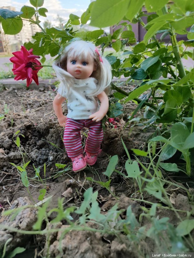 Мила и Виола (Габриэль Мюллер Gabriele Muller) (фото 6)