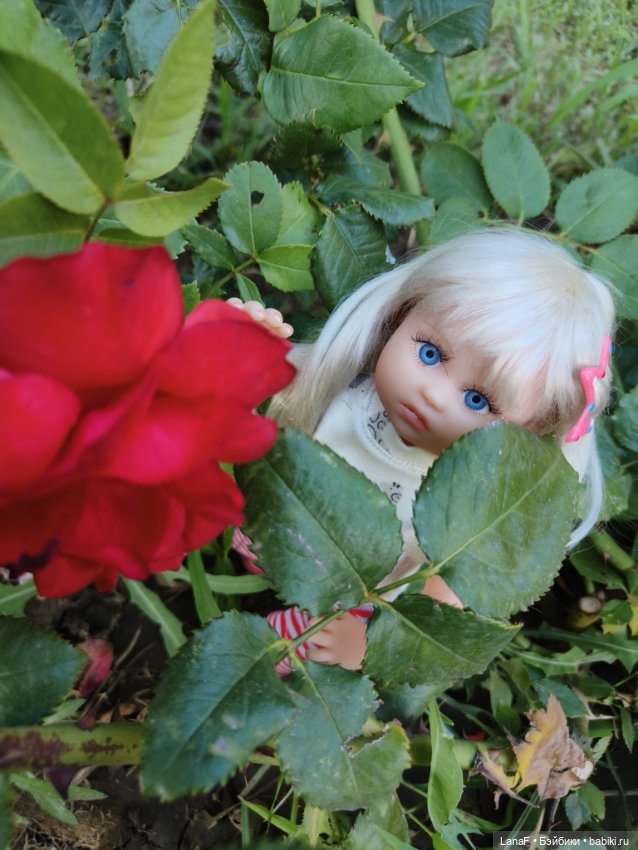 Мила и Виола (Габриэль Мюллер Gabriele Muller)