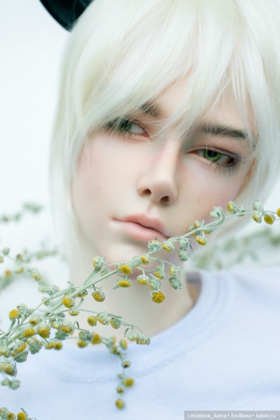 Котик Хён — Куклы Dollshe Craft (Доллше): BJD (БЖД)