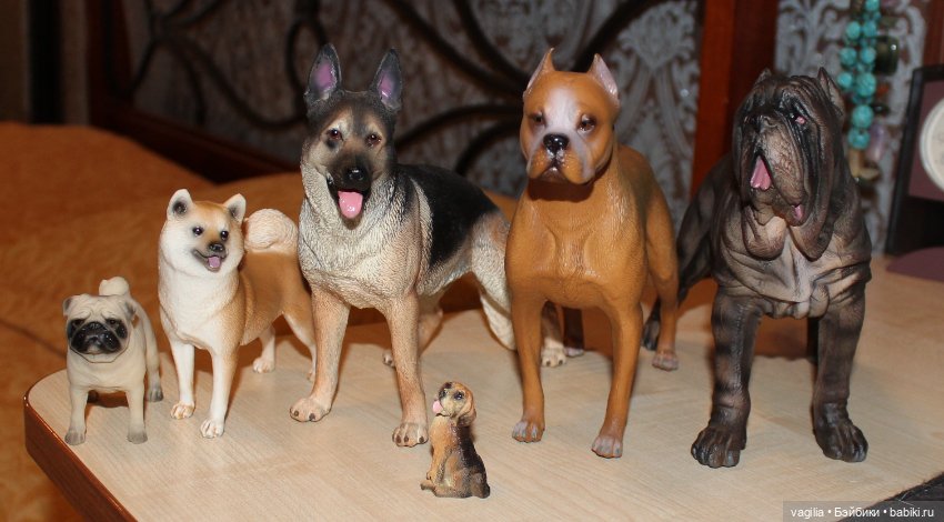 Аргентинский дог — В мире животных: смешные фото питомцев и зверей (фото 8)