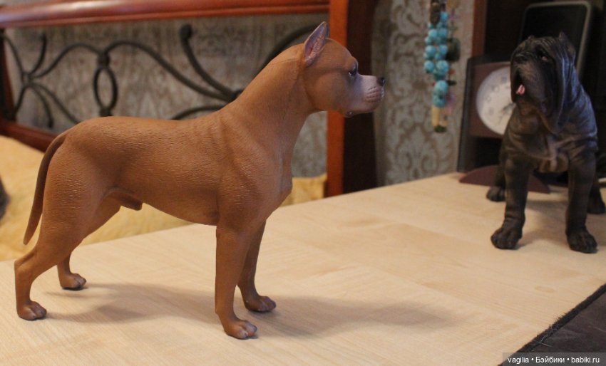 Аргентинский дог — В мире животных: смешные фото питомцев и зверей (фото 5)