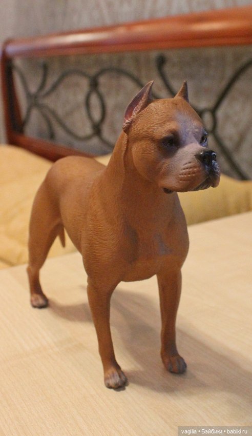Аргентинский дог — В мире животных: смешные фото питомцев и зверей (фото 6)