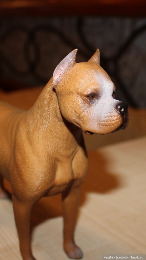 Аргентинский дог — В мире животных: смешные фото питомцев и зверей (фото 2)