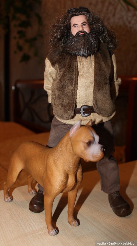 Аргентинский дог — В мире животных: смешные фото питомцев и зверей (фото 3)