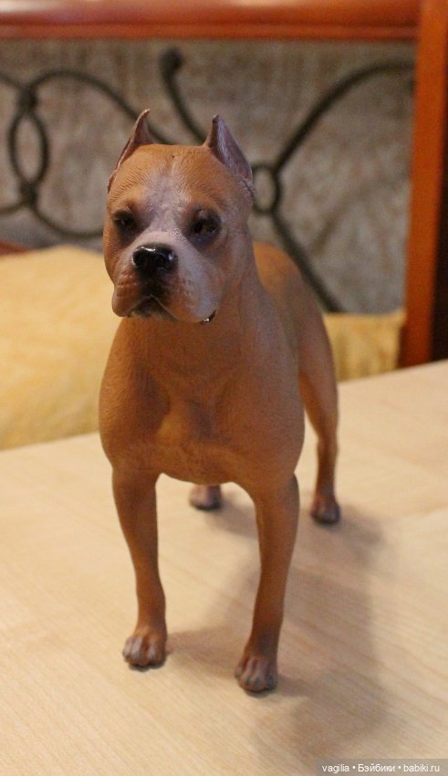 Аргентинский дог — В мире животных: смешные фото питомцев и зверей (фото 7)