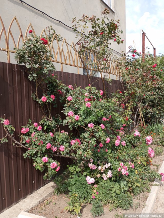 Лина на отдыхе — Аналоги Барби и куклы 1/6: клоны 90 (фото 4)