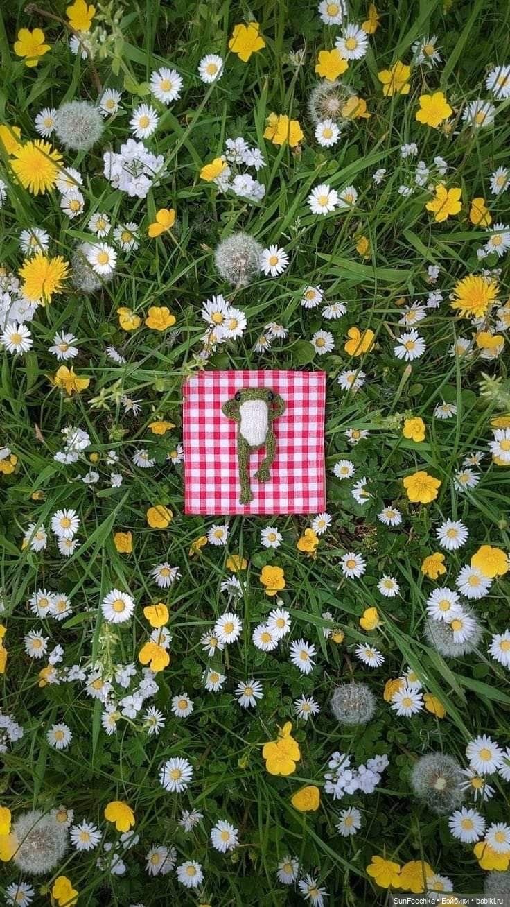 Один день из жизни вязаной лягушки 🐸