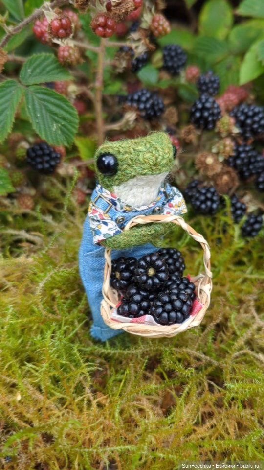 Один день из жизни вязаной лягушки 🐸