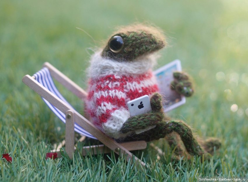 Один день из жизни вязаной лягушки 🐸 (фото 6)