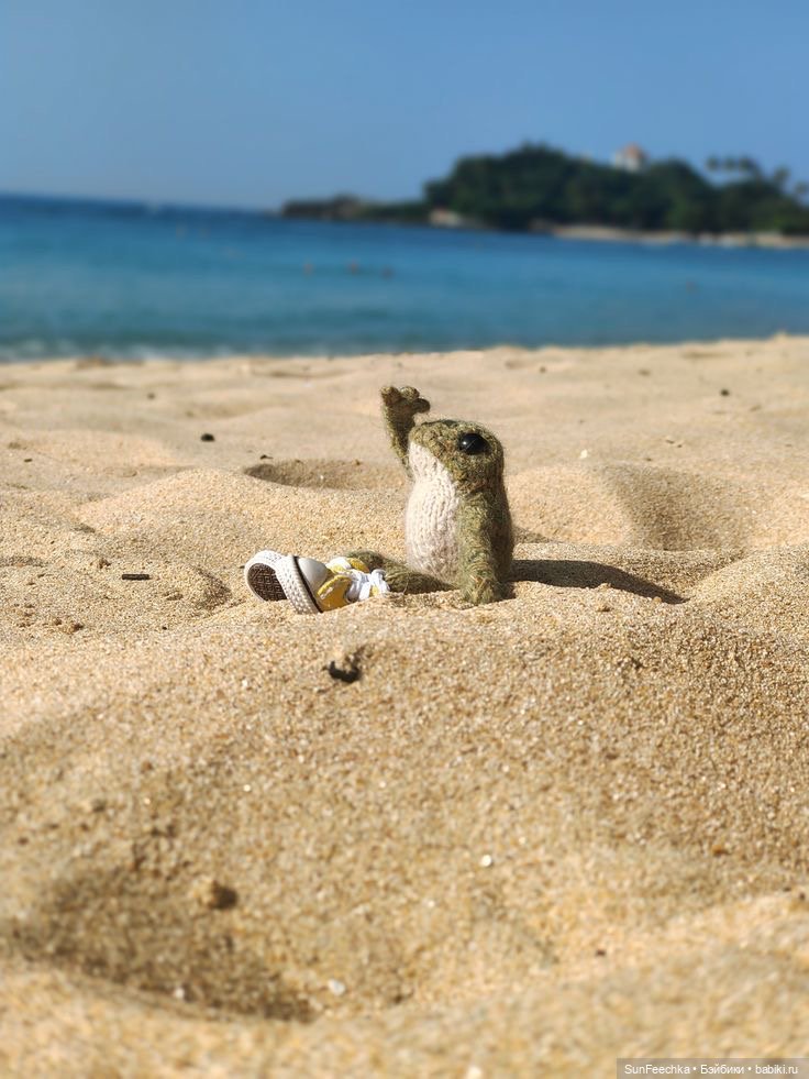 Один день из жизни вязаной лягушки 🐸